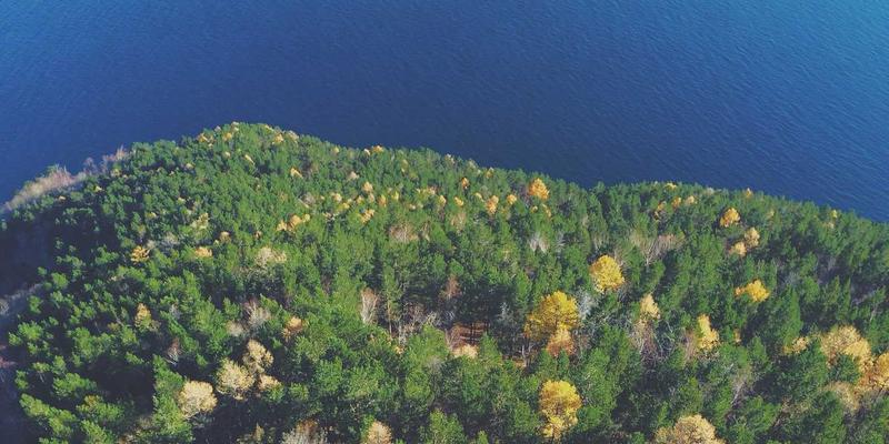 9613IT：从专业IT咨询到系统维护，构建企业数字化转型的坚实基座