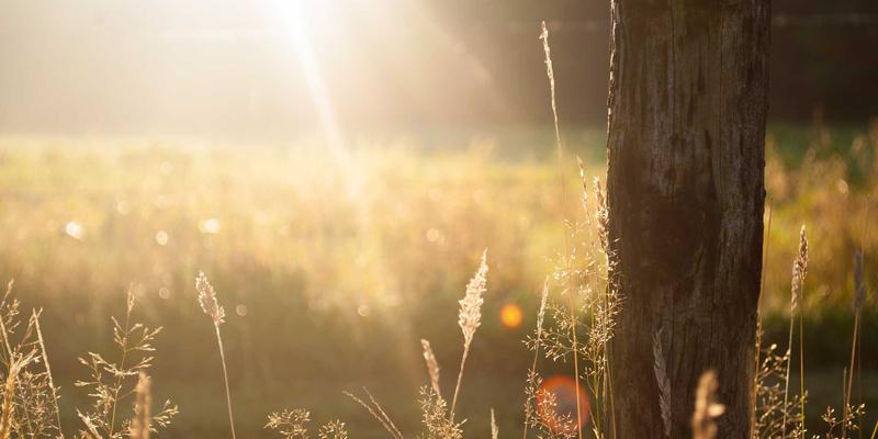 9613IT技术支撑：面向DevOps的ITSM集成与网络解决方案优化