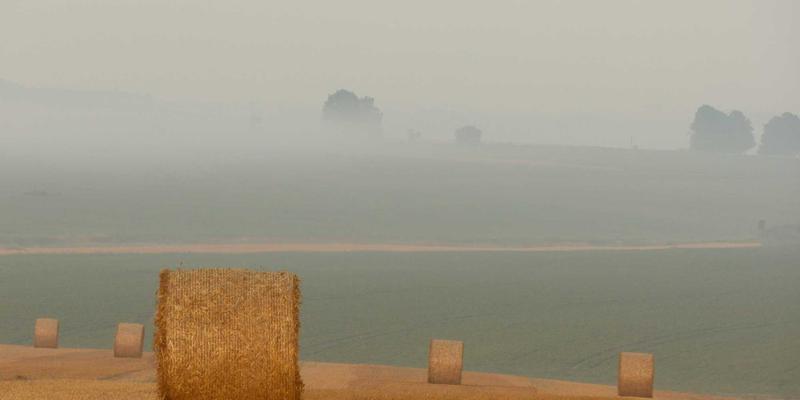 9613IT服务入门指南：从技术支援到系统维护的核心解析