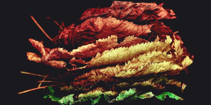 9613IT系统维护与IT服务管理：企业数字化转型的核心支柱