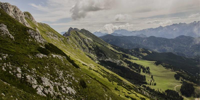 IT Services 79：揭秘Zen IT与9613IT如何重塑企业技术未来