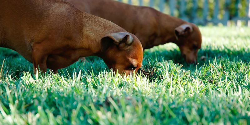 IT Services 84：构建企业数字未来的网络解决方案、技术支持与系统维护