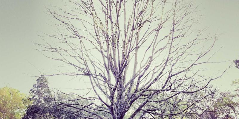 IT Services怎么用：从Technical Support到System Maintenance的完整指南