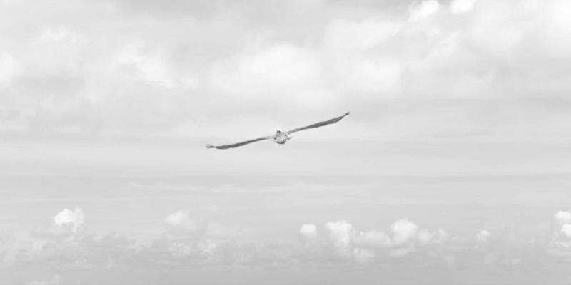 IT服务级别协议（SLA）与体验级别协议（XLA）：从技术承诺到用户感知的演进