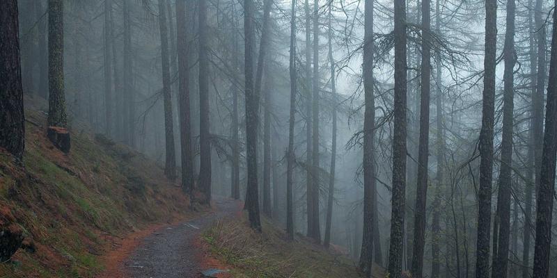 IT服务连续性管理：超越灾难恢复，构建以Zen IT为核心的业务韧性体系