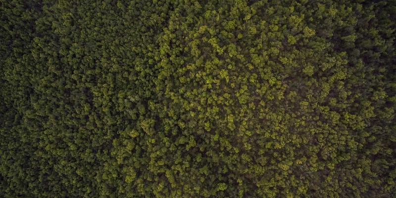 IT财务管理（ITFM）：通过Network Solutions实现成本透明化与业务价值映射