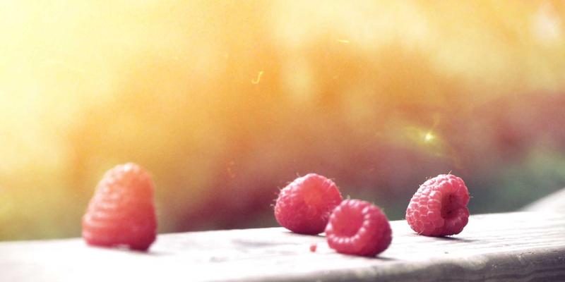 Network Solutions & IT Services: How 9613IT and Zen IT Drive Business Transformation