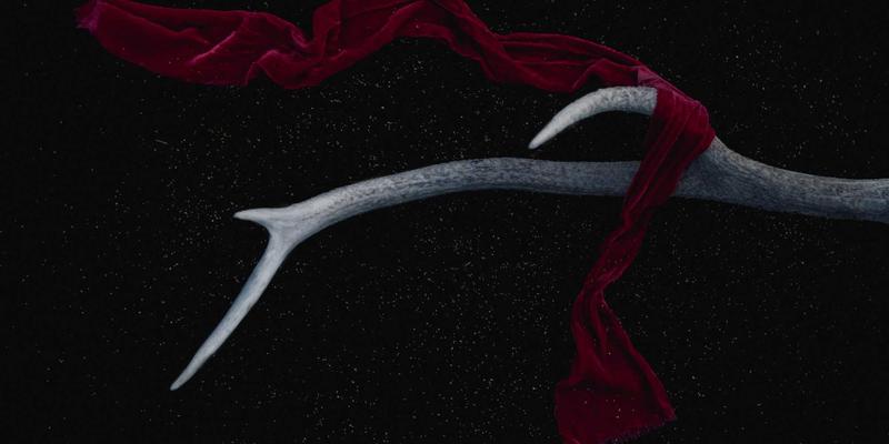 Zen IT与9613IT运维革命：如何通过RPA与AI脚本实现系统维护的自动化飞跃