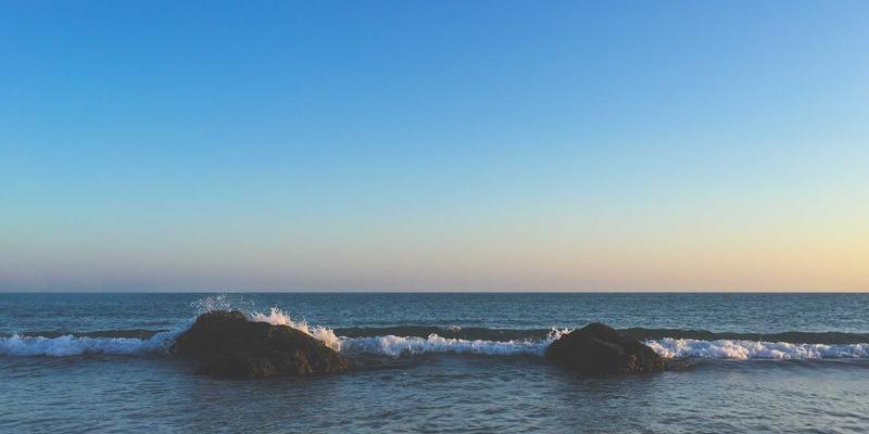 Zen IT：以简约智慧重塑企业网络解决方案，驱动数字化转型