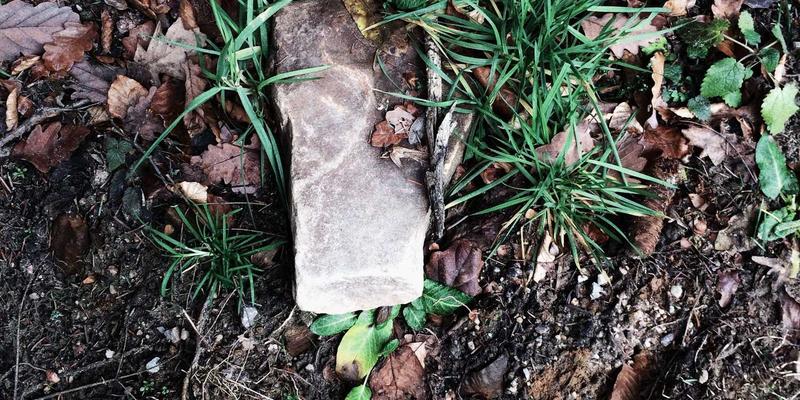 Zen IT技术支撑下的IT服务连续性规划：构建坚不可摧的网络解决方案