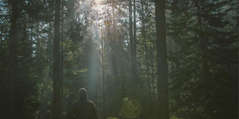 Zen IT智慧：如何通过IT服务外包策略实现成本与效率的完美平衡