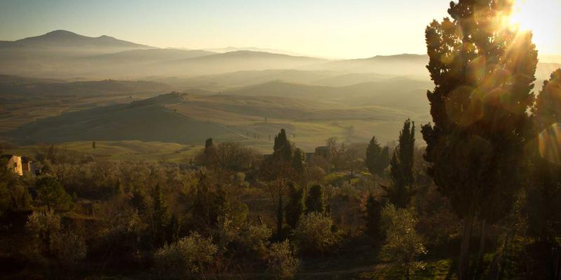 Zen IT服务全攻略：从战略咨询到系统维护的数字化转型指南