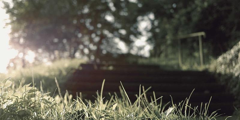 从IT咨询到网络解决方案：Zen IT引领企业数字化转型新范式