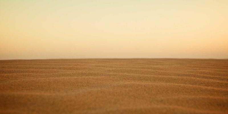 从合同执行到创新引擎：IT服务供应商管理的战略升级之路