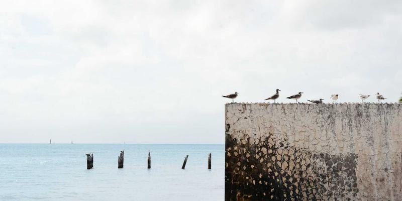 优化IT服务采购：构建卓越的供应商管理与绩效评估体系，赋能system maintenance与network solutions