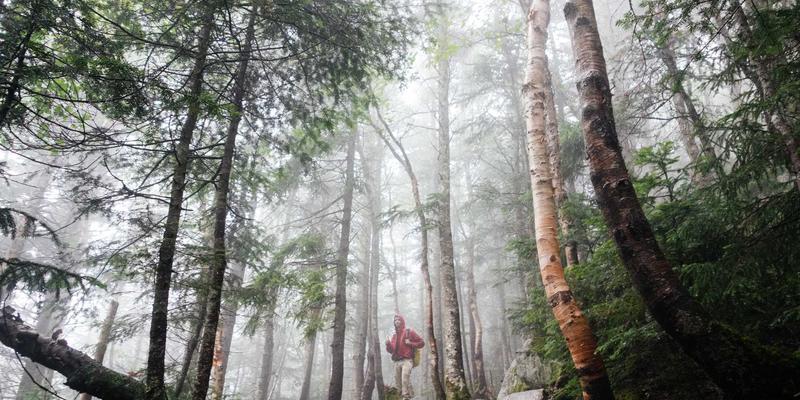 超越故障修复：现代IT服务如何通过系统维护与专业咨询驱动业务增长